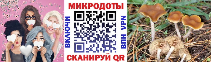 Галлюциногенные грибы мухоморы  где купить наркоту  Кольчугино 
